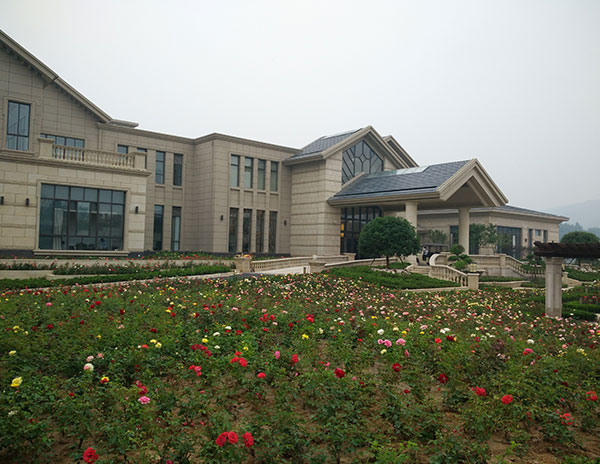 視頻監(jiān)控及巡更系統(tǒng)